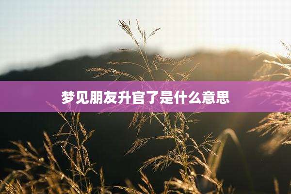 梦见朋友升官了是什么意思