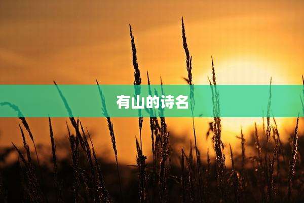 有山的诗名