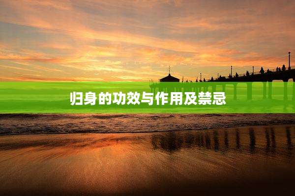 归身的功效与作用及禁忌