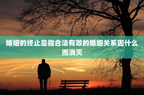 婚姻的终止是指合法有效的婚姻关系因什么而消灭