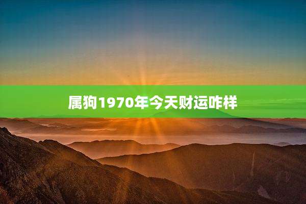 属狗1970年今天财运咋样
