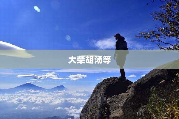 大柴胡汤等