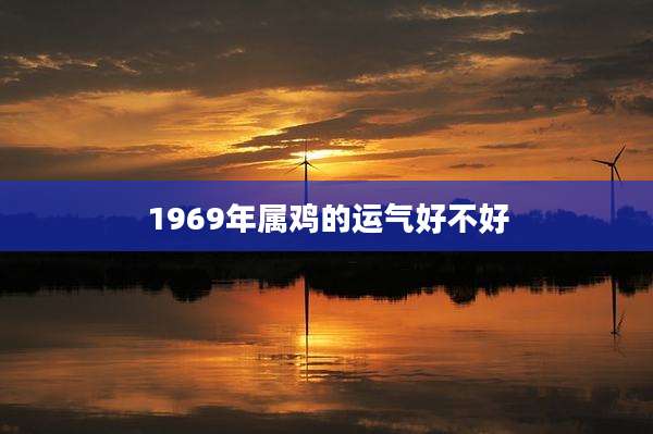 1969年属鸡的运气好不好