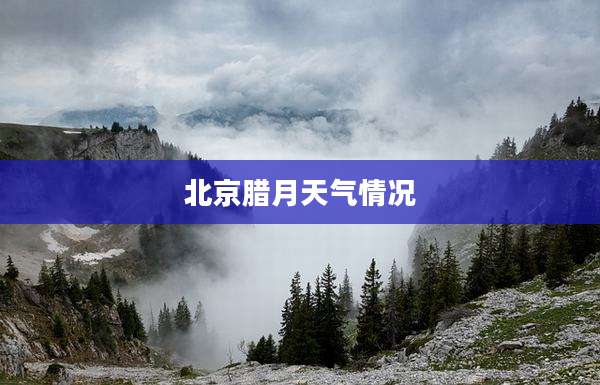 北京腊月天气情况