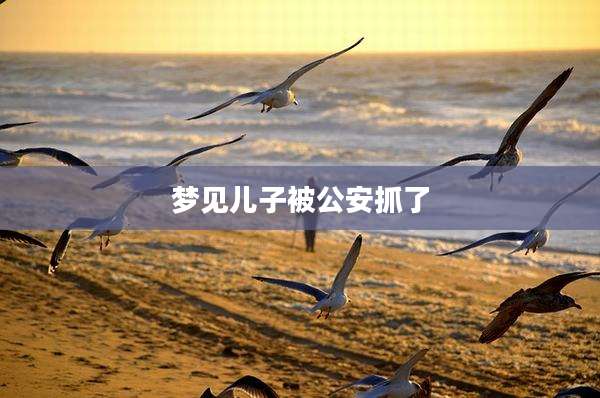 梦见儿子被公安抓了