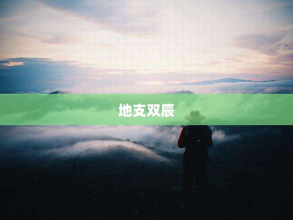 地支双辰