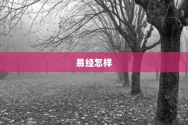 易经怎样