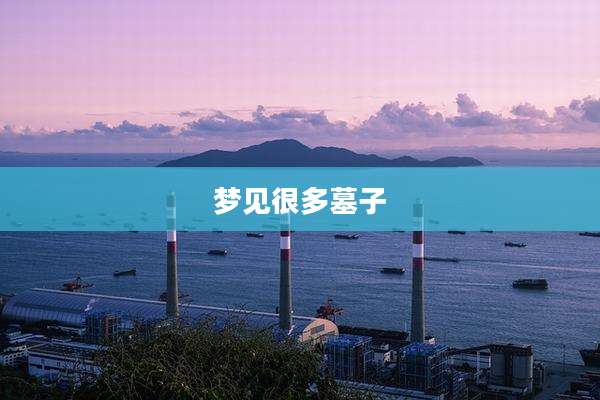 梦见很多墓子