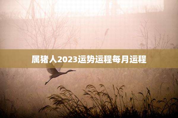 属猪人2023运势运程每月运程