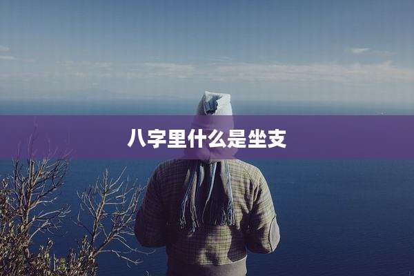 八字里什么是坐支