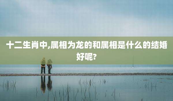 十二生肖中,属相为龙的和属相是什么的结婚好呢?