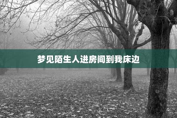 梦见陌生人进房间到我床边