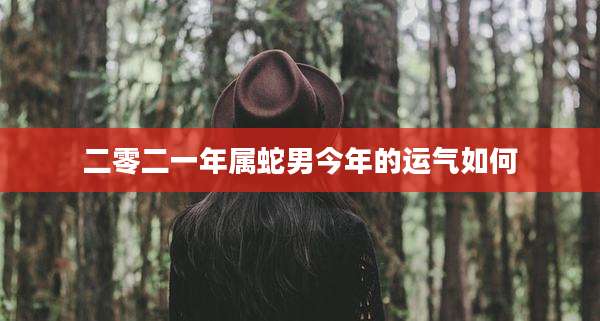 二零二一年属蛇男今年的运气如何