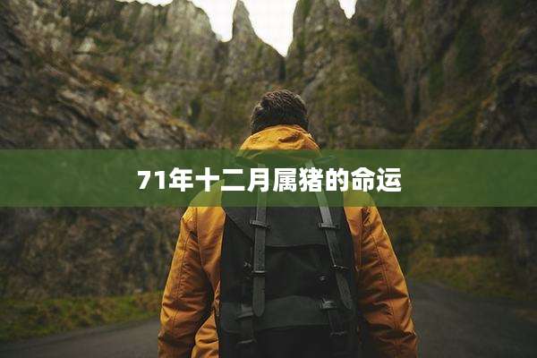 71年十二月属猪的命运