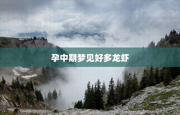 孕中期梦见好多龙虾
