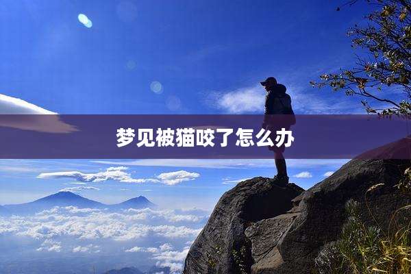 梦见被猫咬了怎么办
