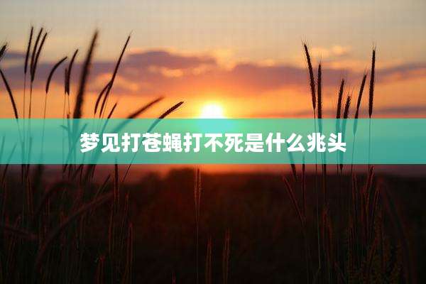 梦见打苍蝇打不死是什么兆头