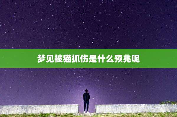 梦见被猫抓伤是什么预兆呢