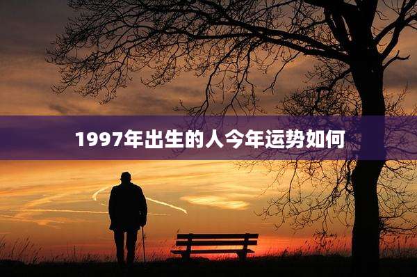 1997年出生的人今年运势如何