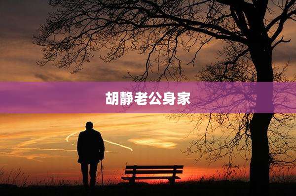 胡静老公身家