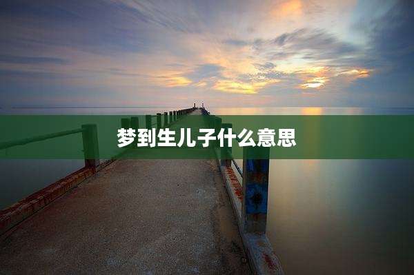 梦到生儿子什么意思