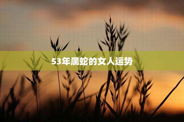 53年属蛇的女人运势