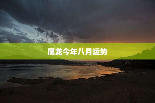 属龙今年八月运势