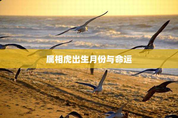 属相虎出生月份与命运