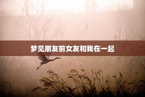 梦见朋友前女友和我在一起