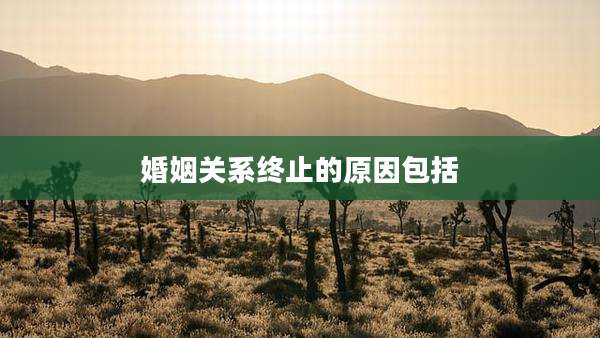 婚姻关系终止的原因包括