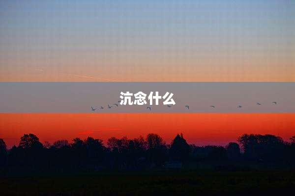 沆念什么