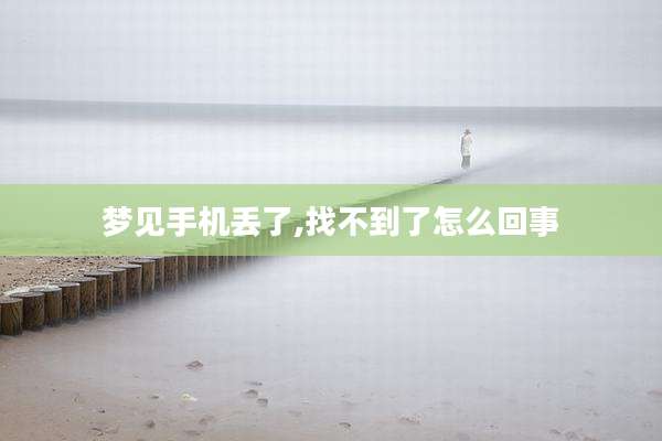 梦见手机丢了,找不到了怎么回事