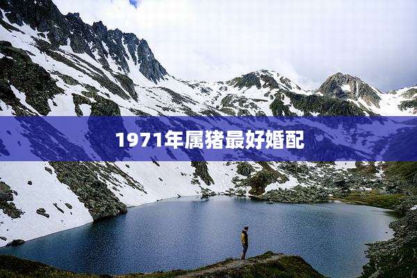 1971年属猪最好婚配