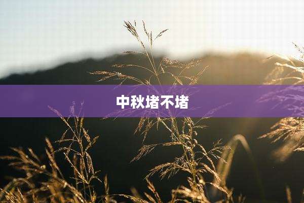 中秋堵不堵