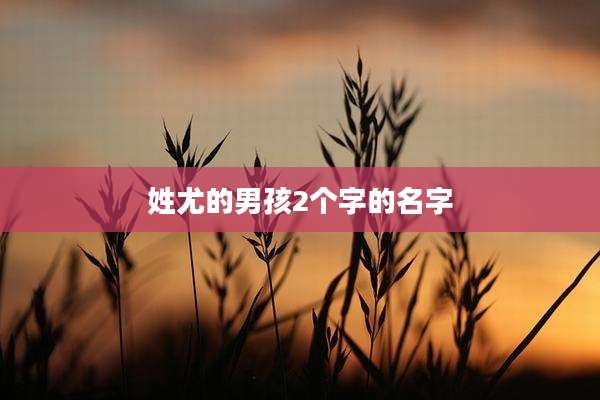 姓尤的男孩2个字的名字