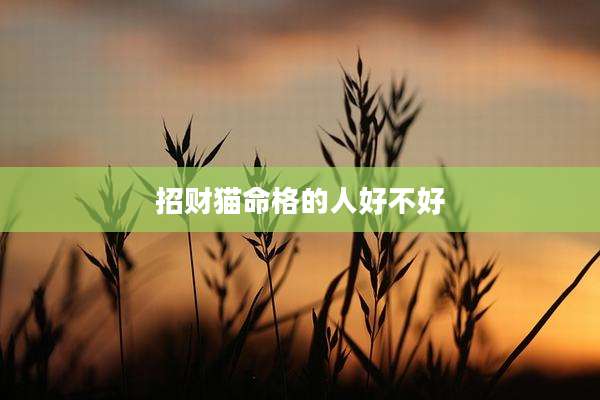 招财猫命格的人好不好