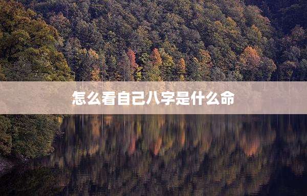 怎么看自己八字是什么命