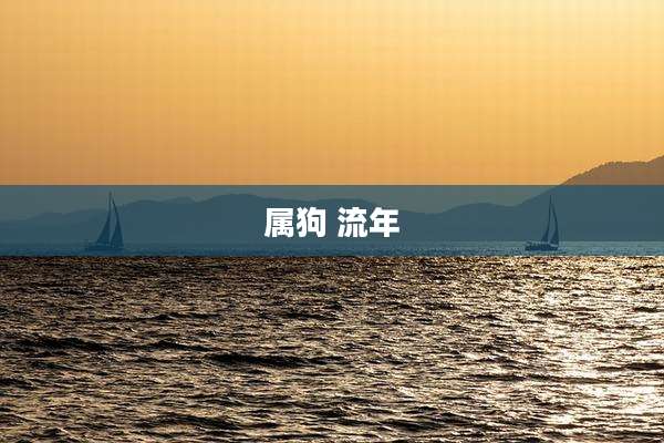 属狗 流年