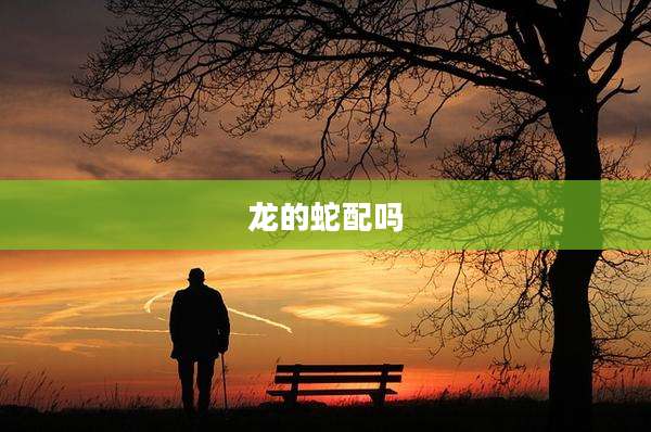 龙的蛇配吗
