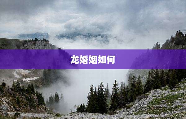 龙婚姻如何