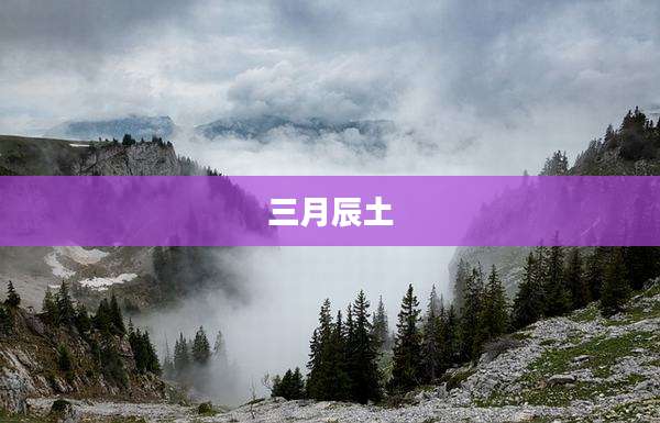 三月辰土