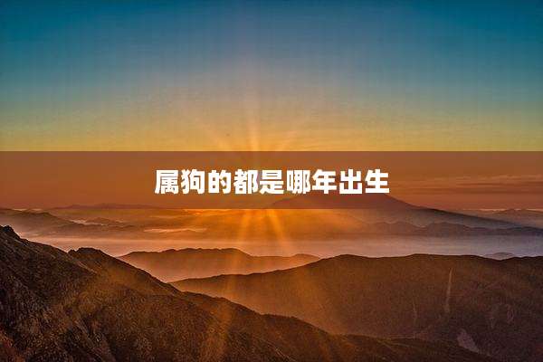 属狗的都是哪年出生