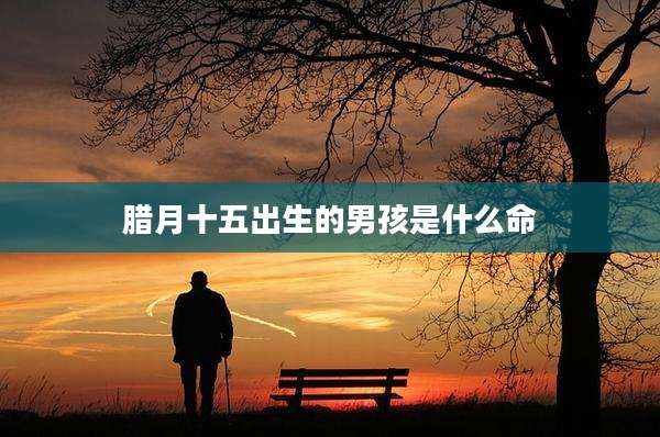 腊月十五出生的男孩是什么命