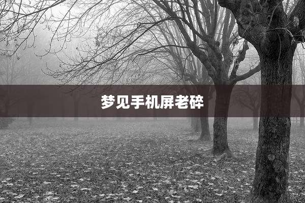 梦见手机屏老碎