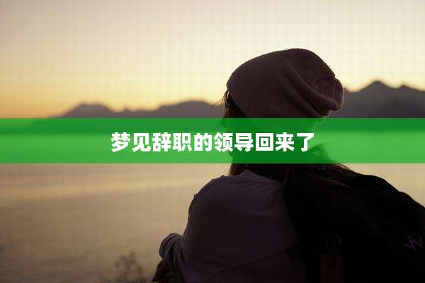 梦见辞职的领导回来了