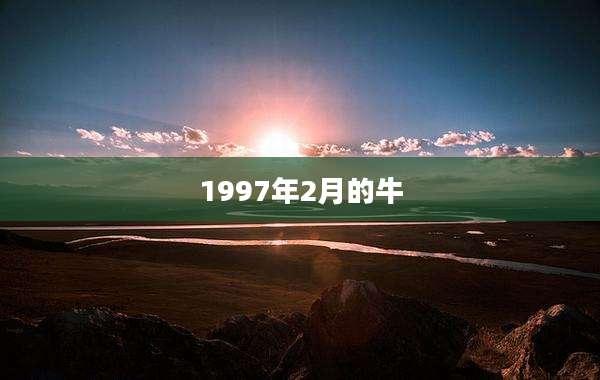 1997年2月的牛
