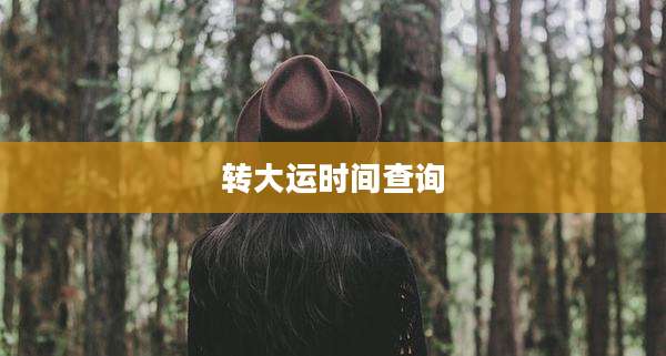 转大运时间查询