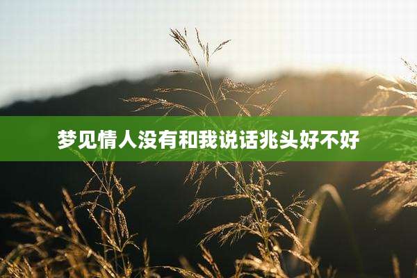 梦见情人没有和我说话兆头好不好