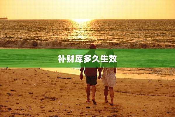补财库多久生效