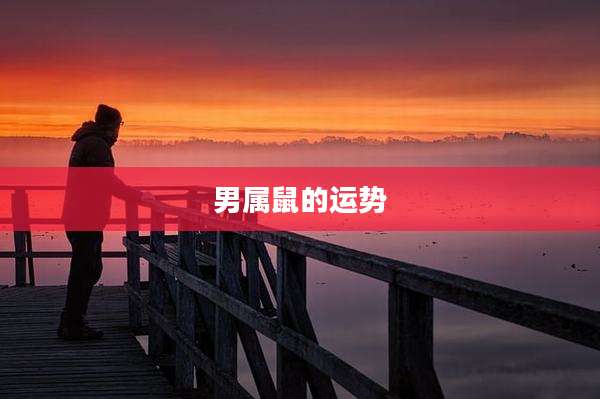 男属鼠的运势